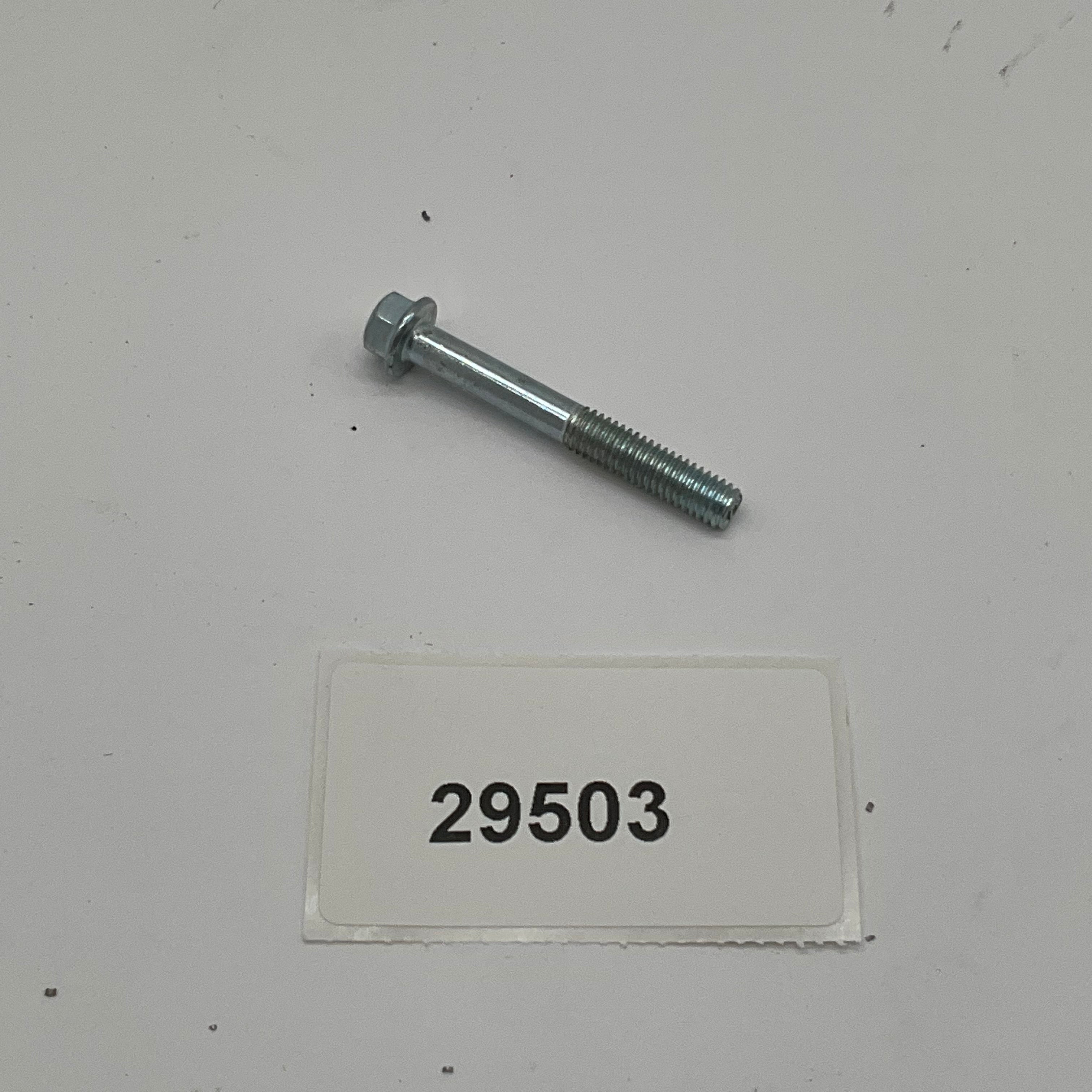 29503 BOLT M6X45