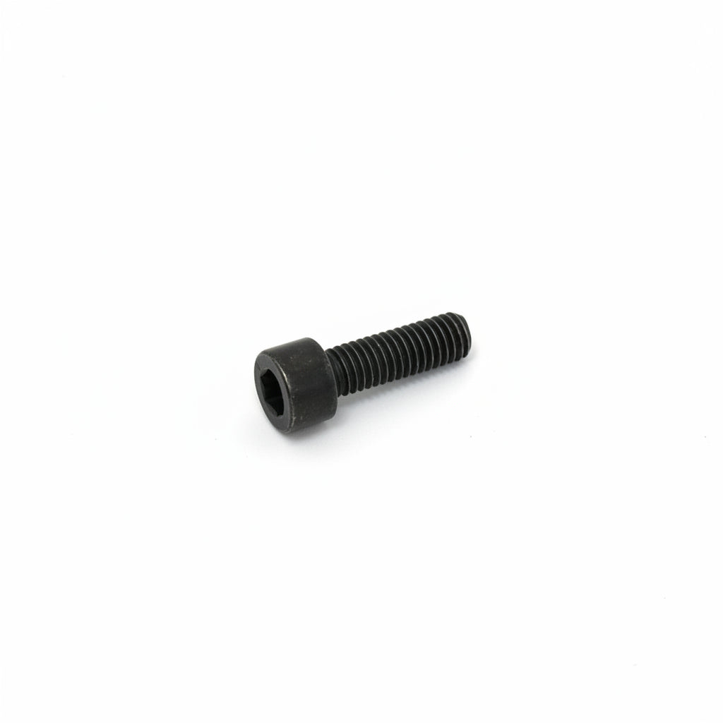 3344060205 Hex Socket Bolt M6X20