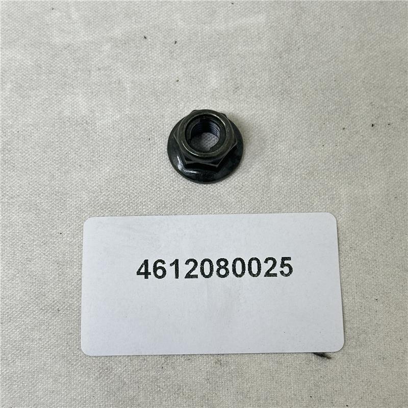 4612080025 Heagon Flange Locking Nut 8