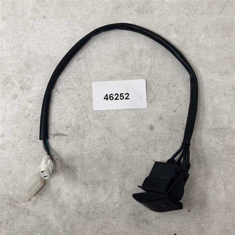 46252 Light Switch