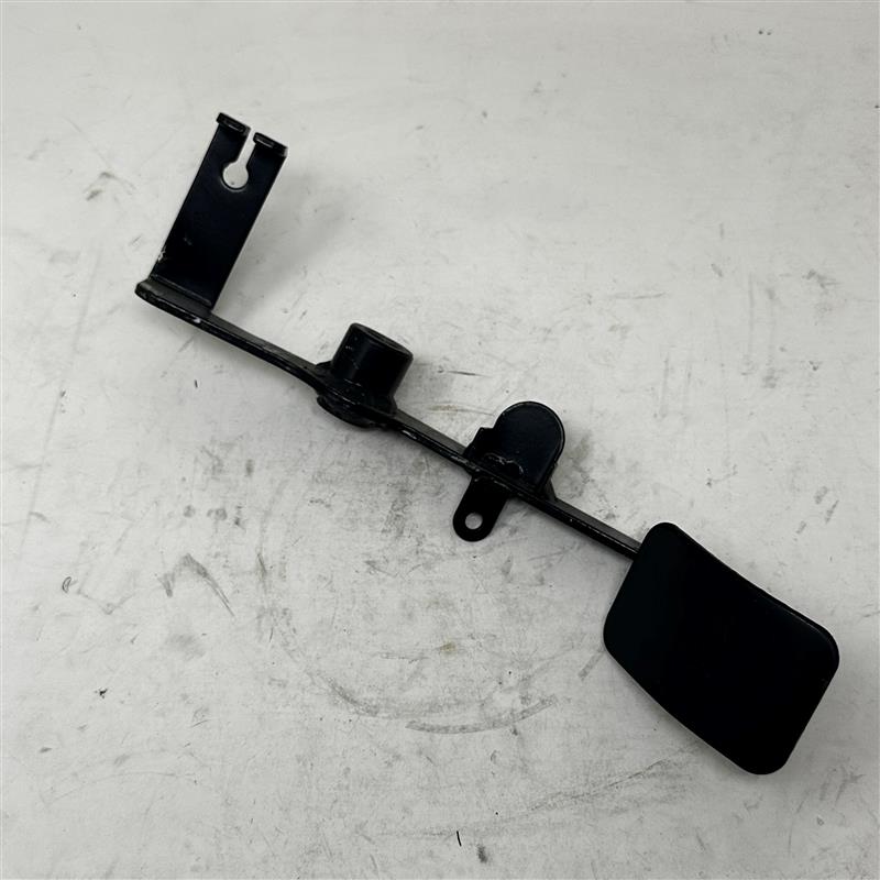 48199 Accelerator Pedal Assembly