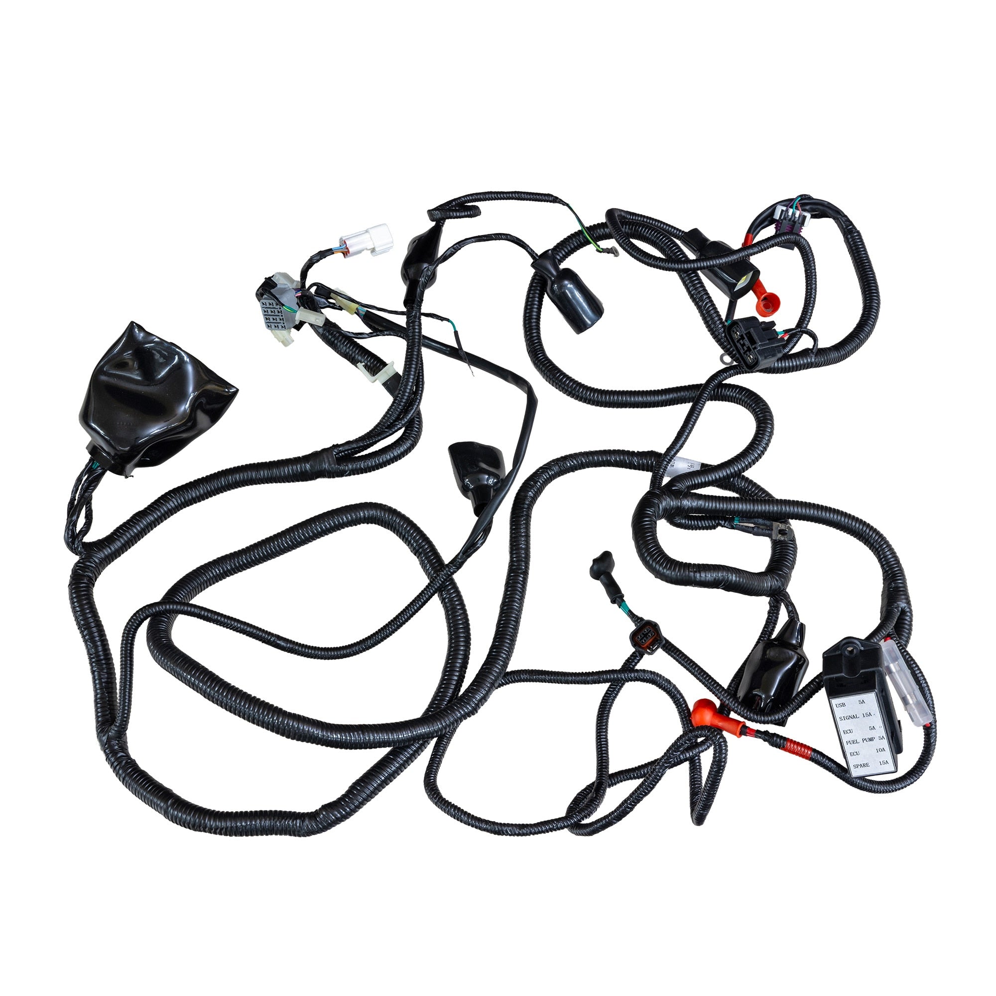 56101 Main Wiring Harness