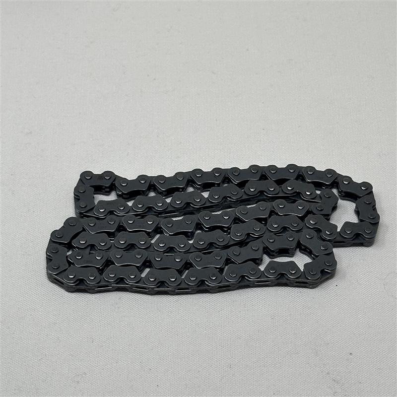 56181 Timing Chain