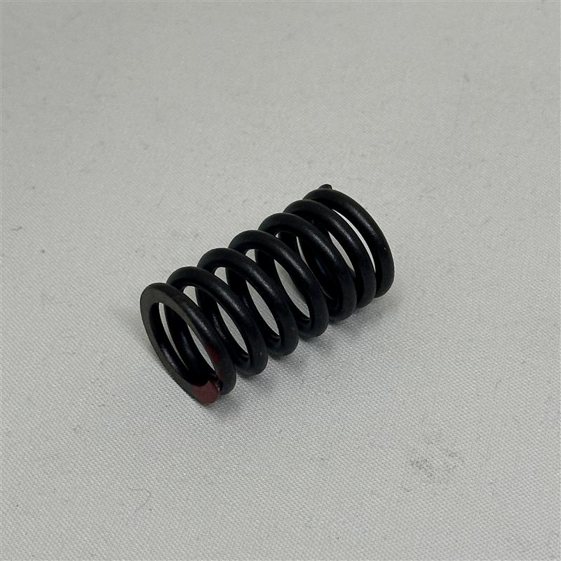56241 Valve Spring