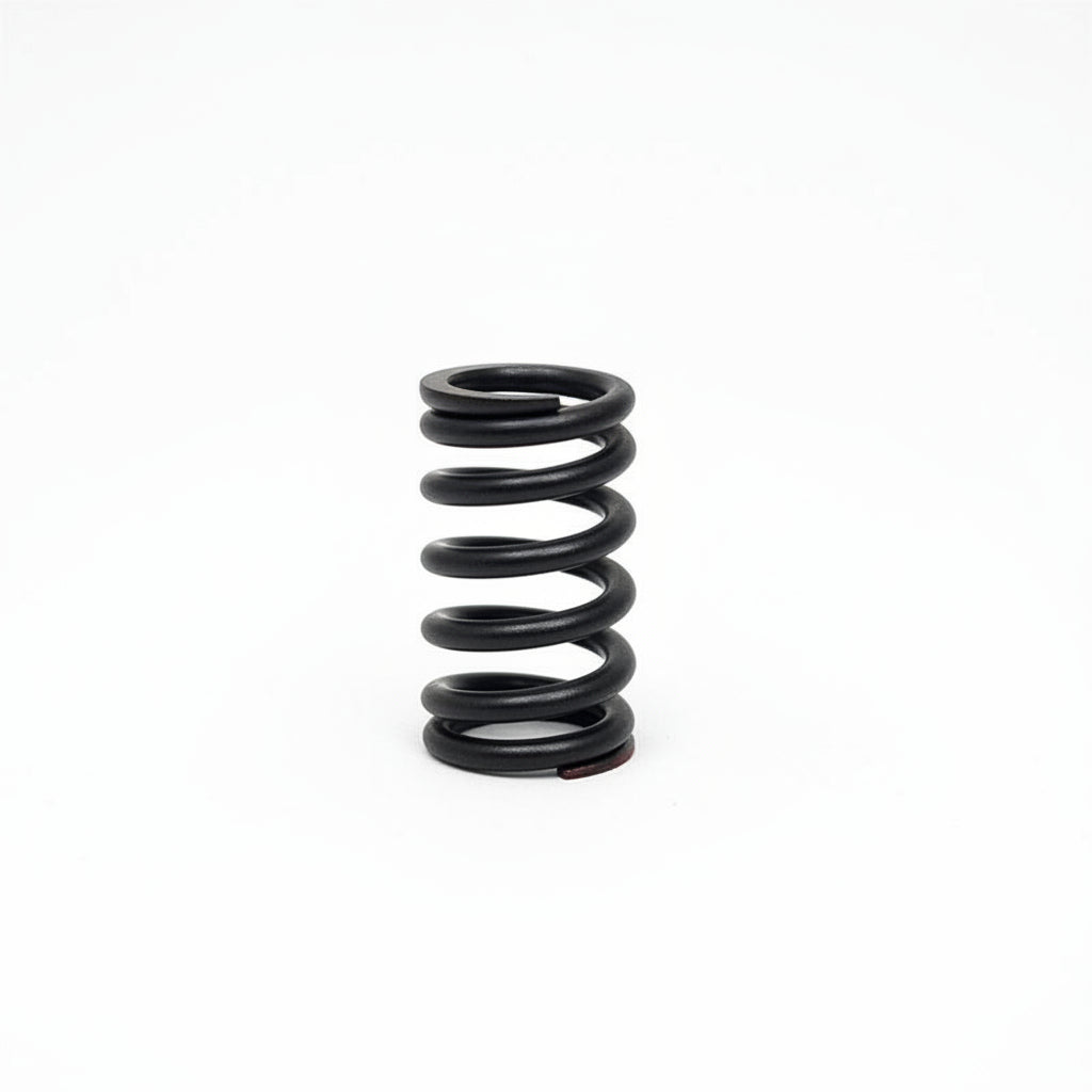 56241 Valve Spring