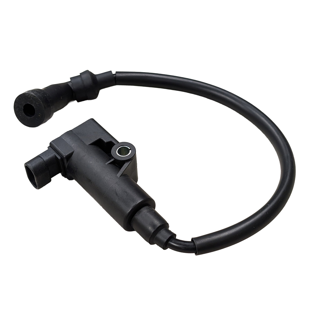 56318 Ignition Coil