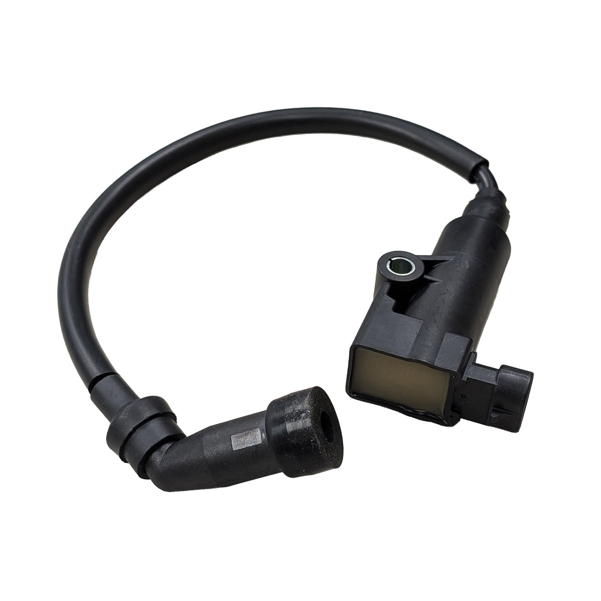 56318 Ignition Coil