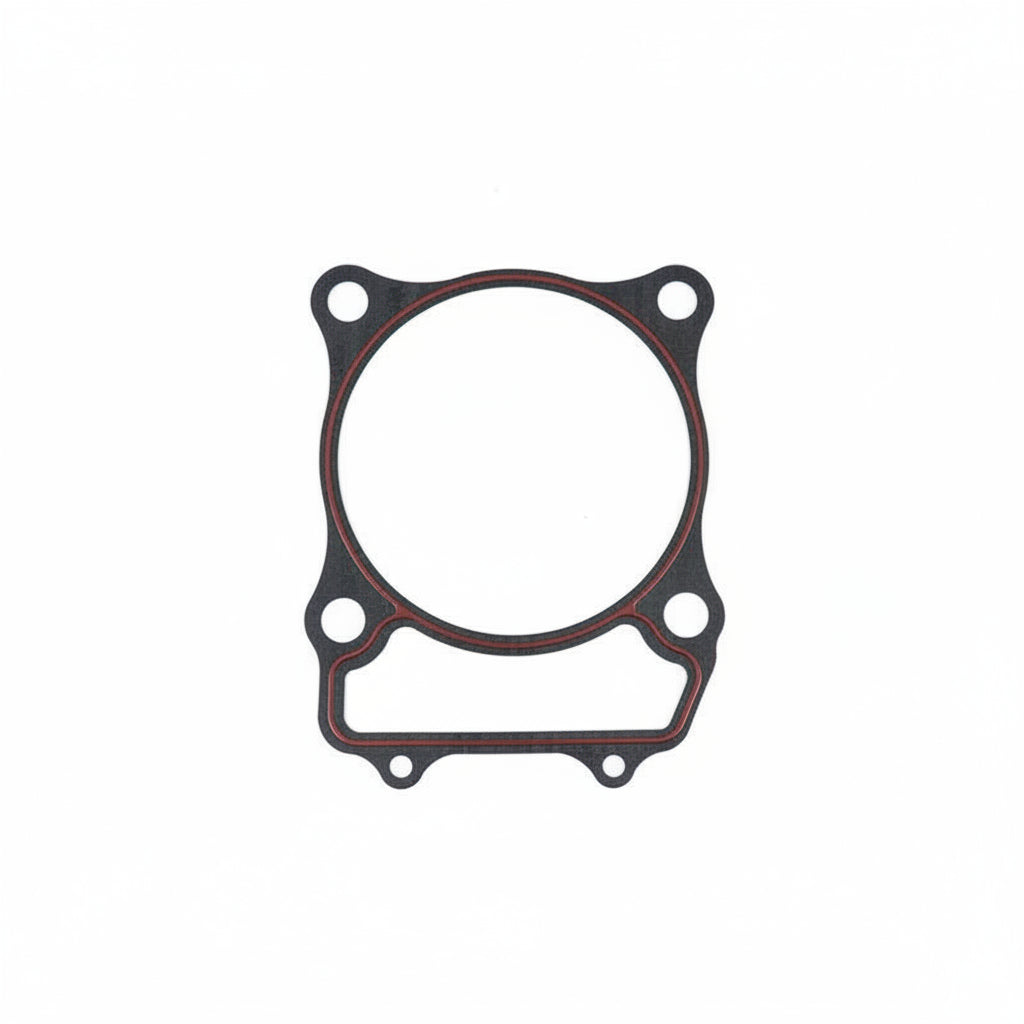 71793 Gasket, Cylinder