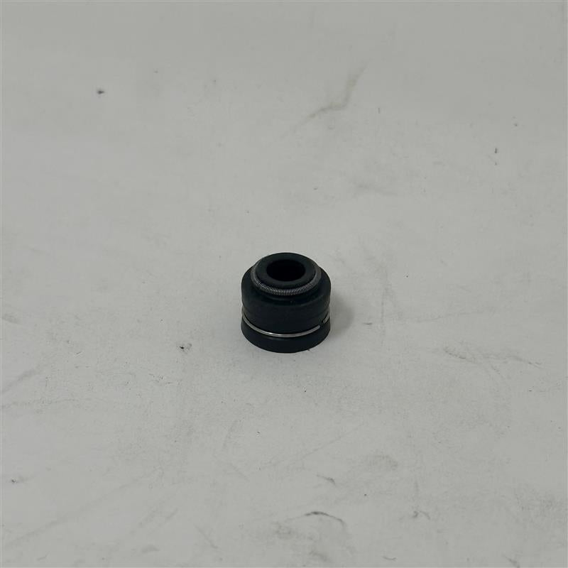 71864 Valve Seal Assy