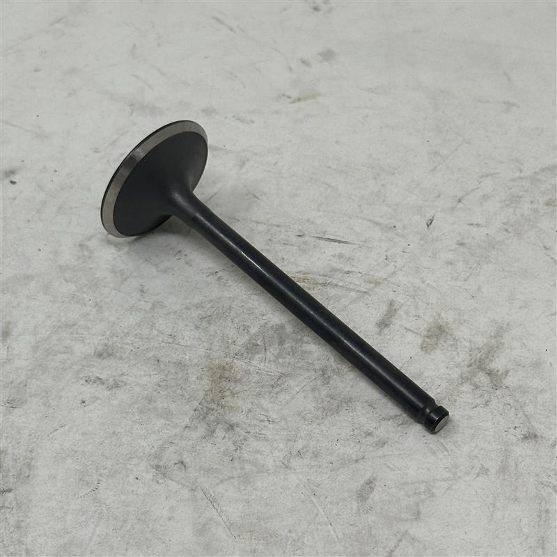71871 Intake Valve