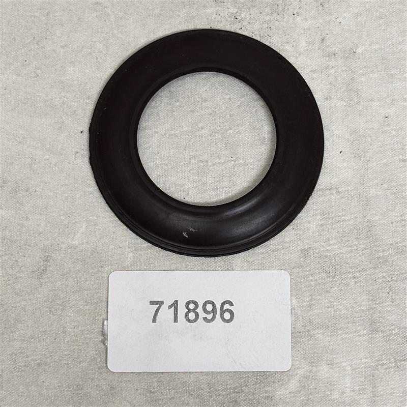 71896 Seal