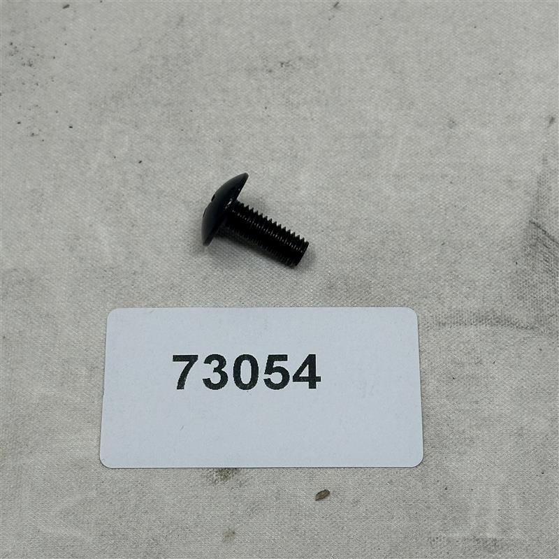 73054 SCREW M6X16