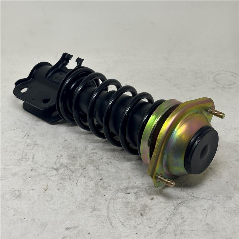 AW2501100-008R Front shock absorber, RH