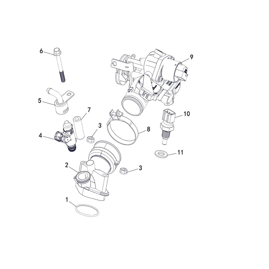 BUCK 250 FUEL INJECTION