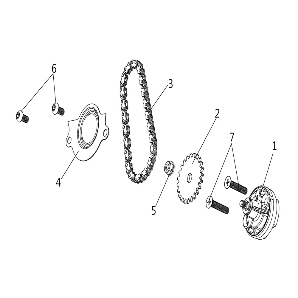 BUCK 250 OIL PUMP ASSY