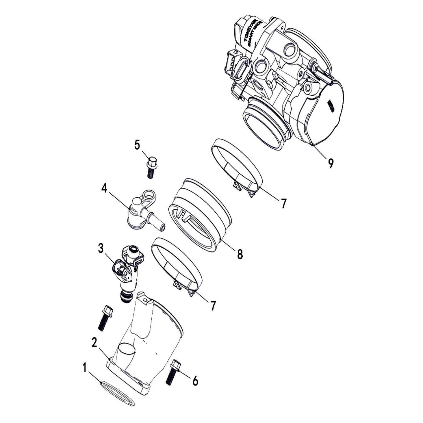 Buck 550-6 FUEL INJECTION ASSY