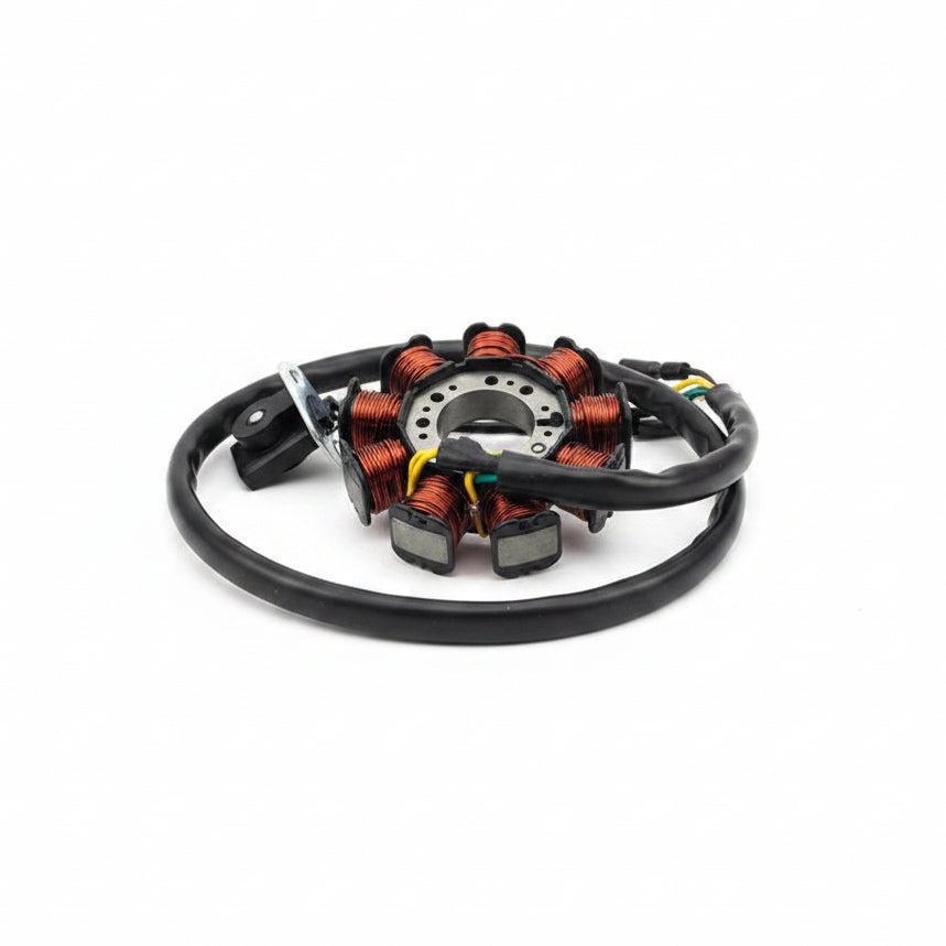 D00263D070 Magneto Stator Assembly