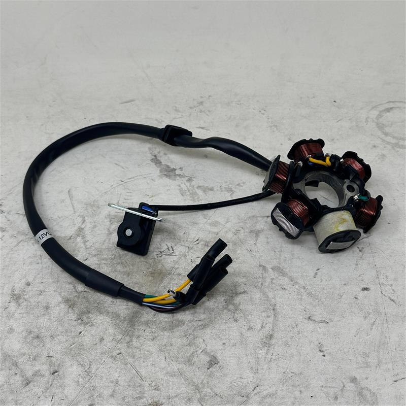 D00263D070 Magneto Stator Assembly
