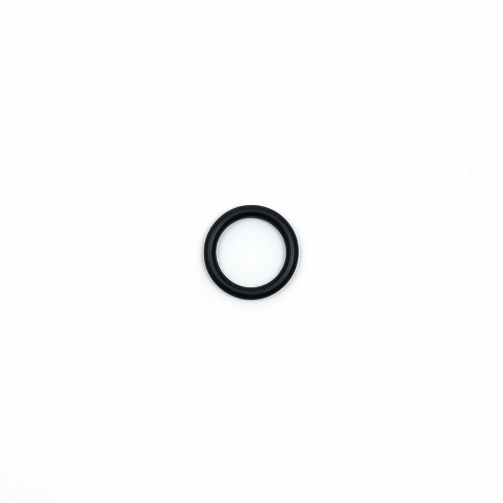 D00C060 Small O-Ring Seal