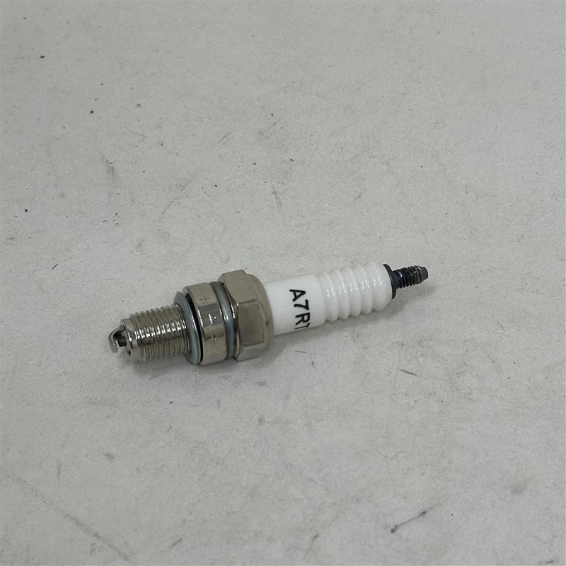 D00D021 Spark Plug