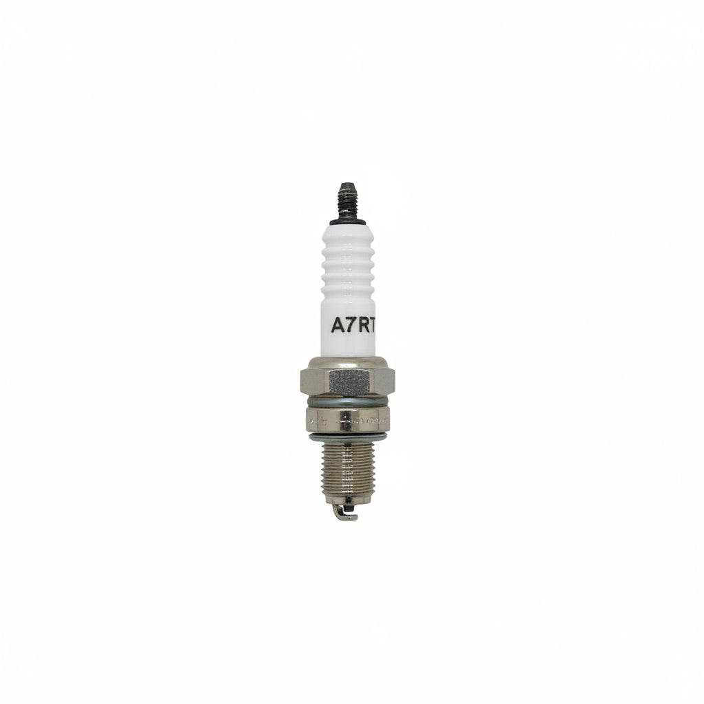 D00D021 Spark Plug