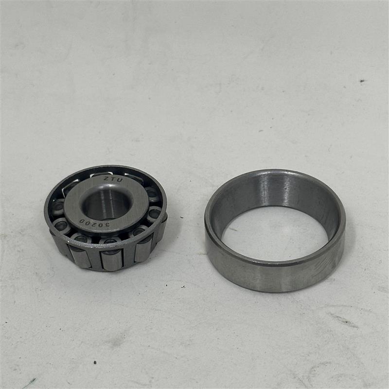 F2M1-050601 Steering Stem Bearing (Set)