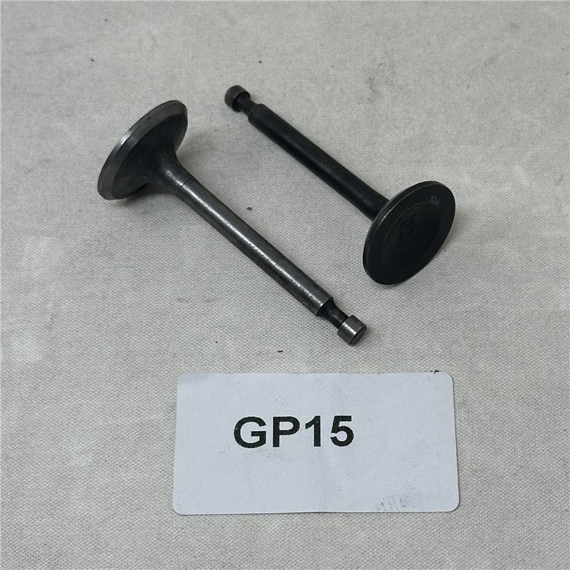 GP15 Intake and Exhaust Valves (Set of 2)