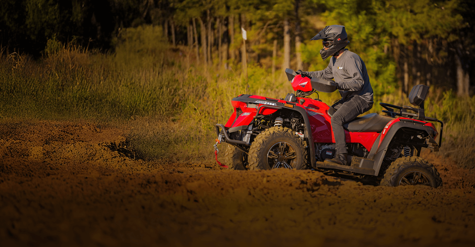 LOOKING FOR AN ATV INSTEAD?