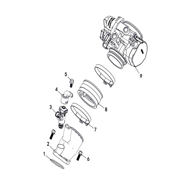 T-BOSS 550 FUEL INJECTION ASSEMBLY