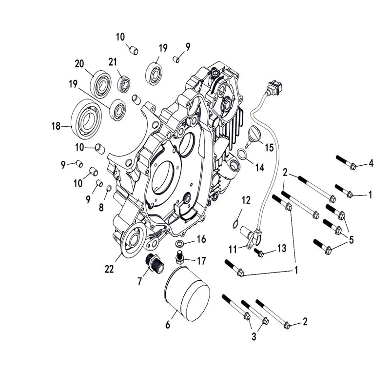 T-BOSS 550 LEFT CRANKCASE