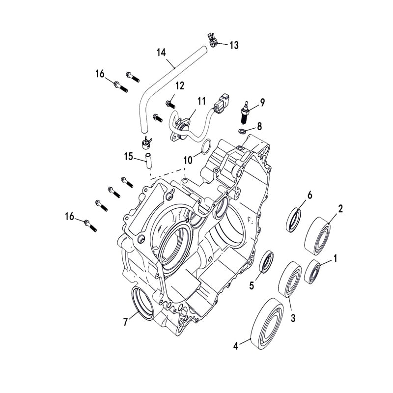 T-BOSS 550 RIGHT CRANKCASE