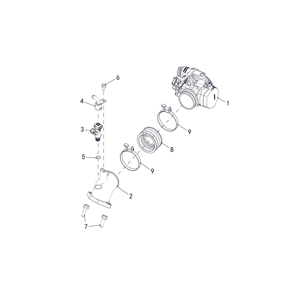 T-BOSS 750 FUEL INJECTION ASSY