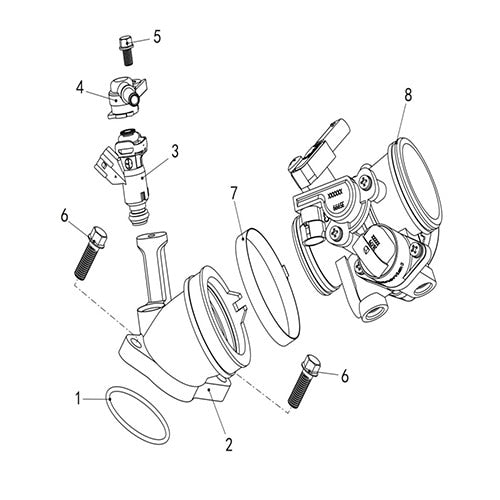 T-BOSS 760 FUEL INJECTION ASSY