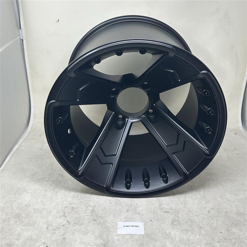 TL003-120-003 Rear hub