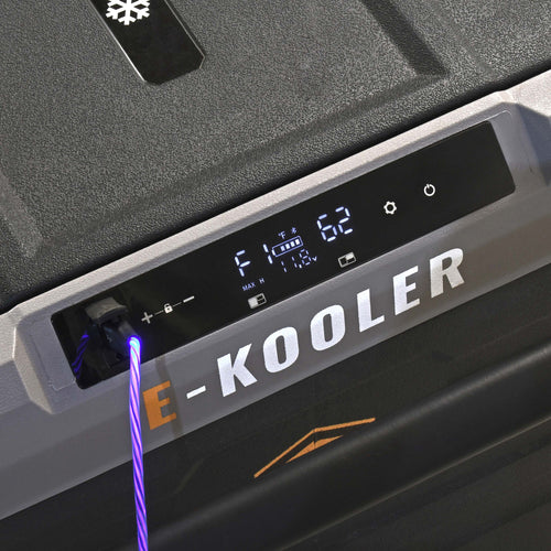 Dual Power Options