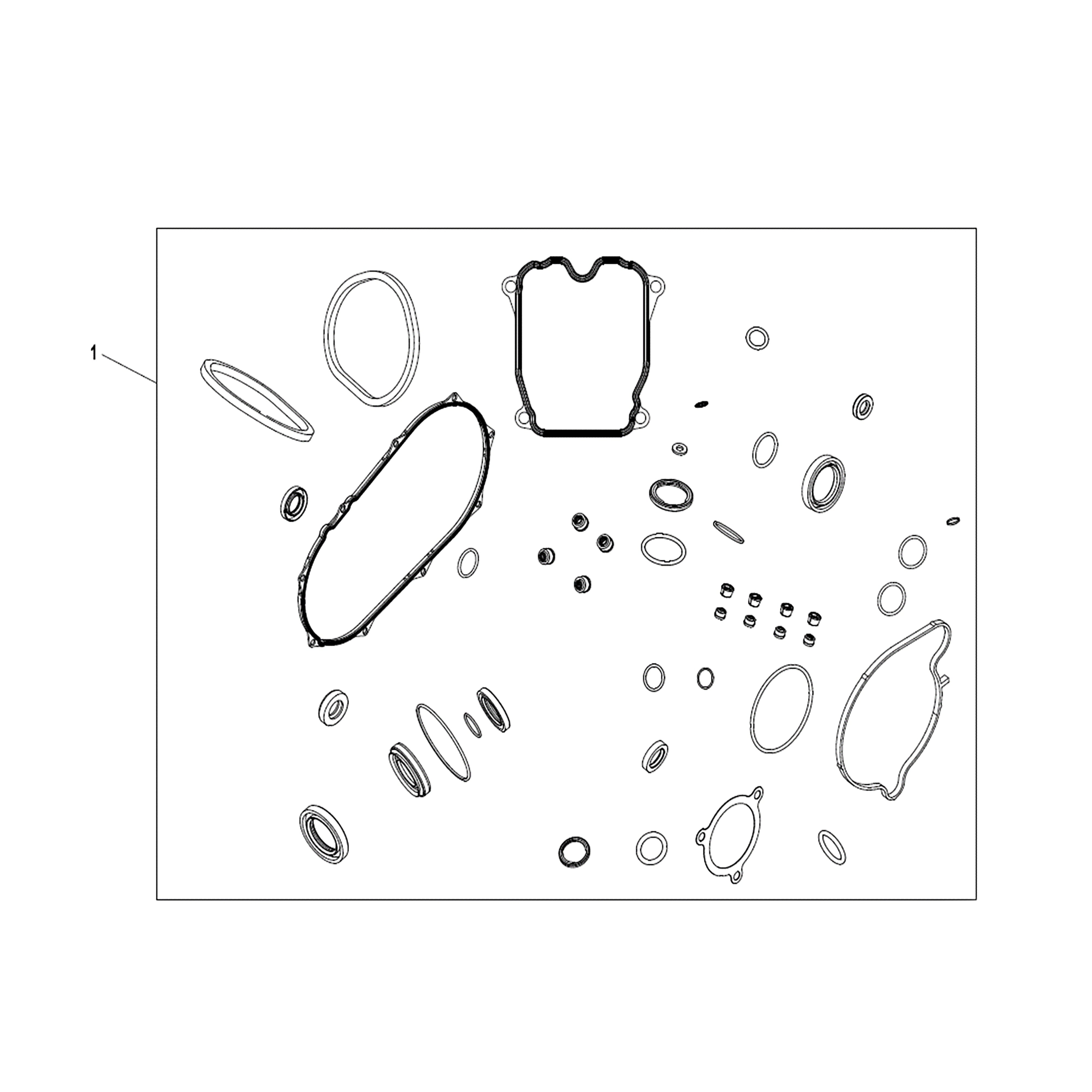WARRIOR 1000CC ENGINE OIL SEAL & O-RING