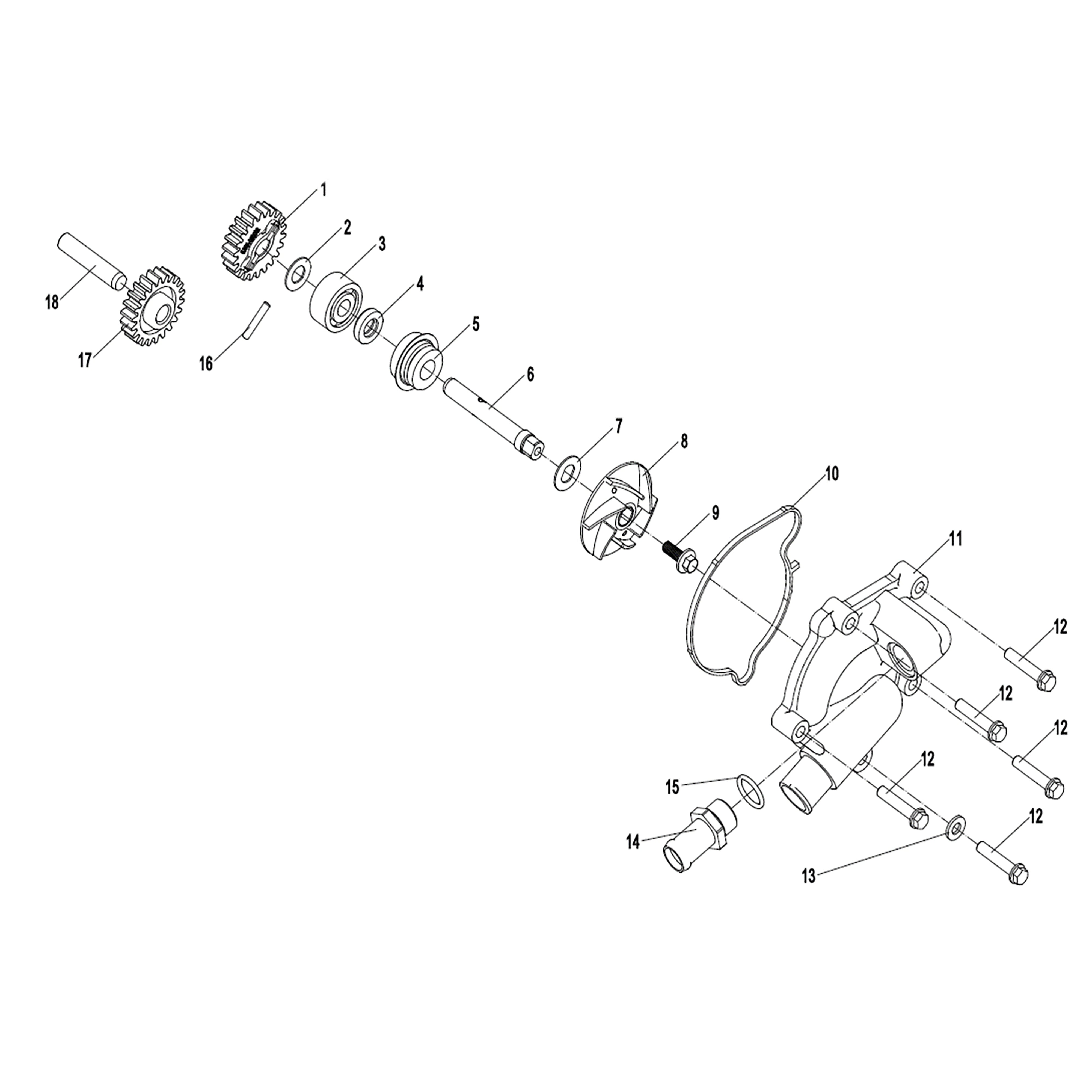 WARRIOR 1000CC ENGINE WATER PUMP ASSY