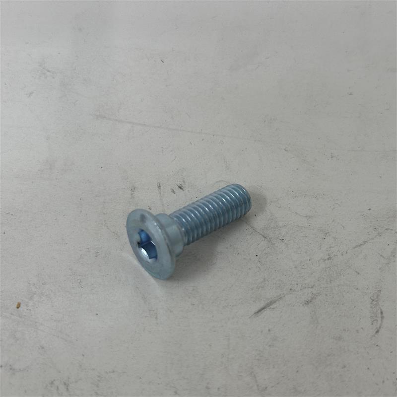 ZH1000825 Hex Socket Head Bolt M8x25